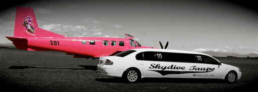 Pinky and The Limo !