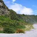 Okarito wilderness