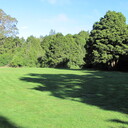 Grassy area surrounded by native bush and a stream.