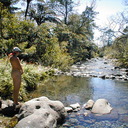 The river