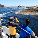 Seal Watching - Doubtful Sound Overnight Cruise