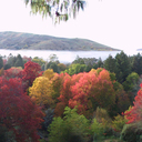 Autumn colour