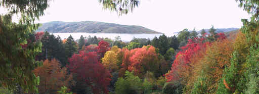 Autumn colour