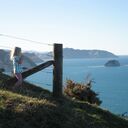 Viewpoint on the way to Cooks Cove