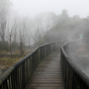 Sulphur city