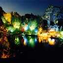 Festival of Lights - Pukekura Park