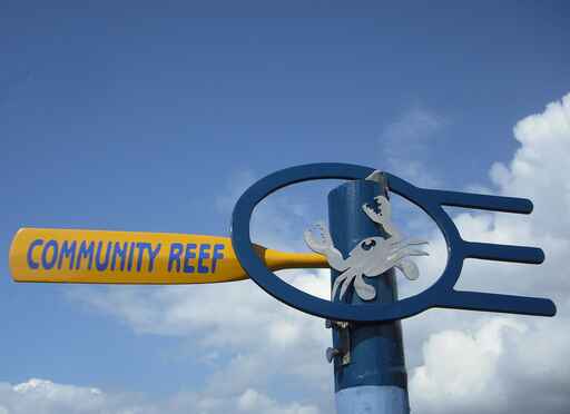 Reef Building 101 is based on 4 key principles
