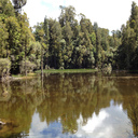 Waihora Lagoon after the rain