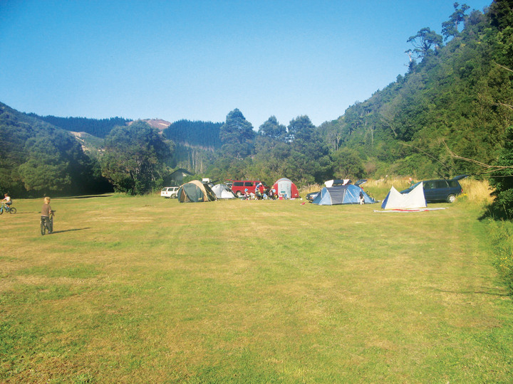 Otaki Forks Campsite Otaki Forks area, Wellington Region, NZ 11