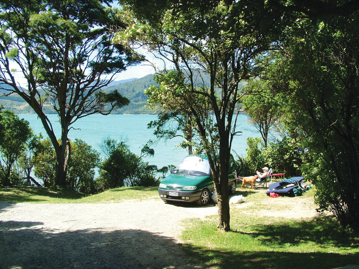 Aussie Bay Camping Queen Charlotte Sound, Marlborough, NZ 35 travel