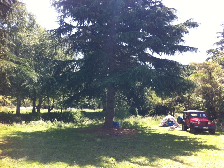 Otaki Forks Campsite Otaki Forks area, Wellington Region, NZ 11