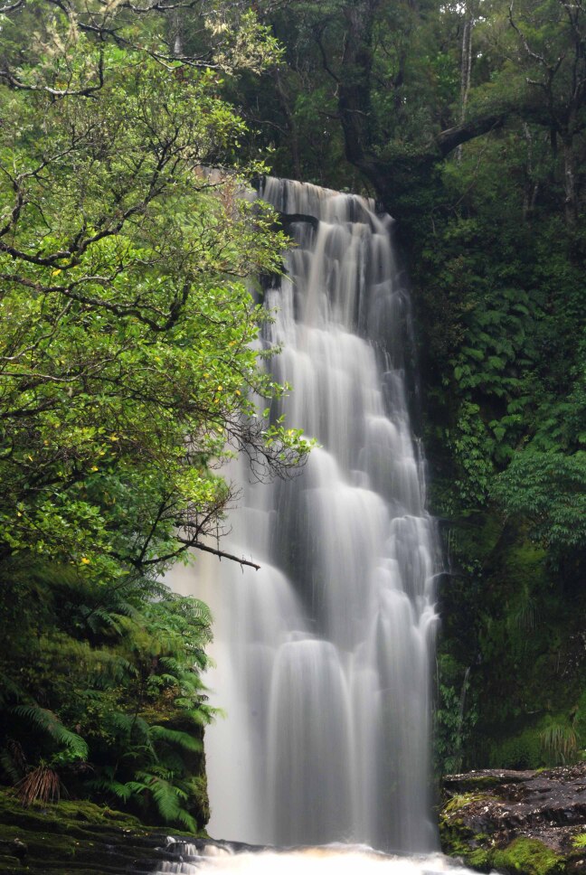 Waikawa, Southland, New Zealand Online Reviews and Traveller Ratings