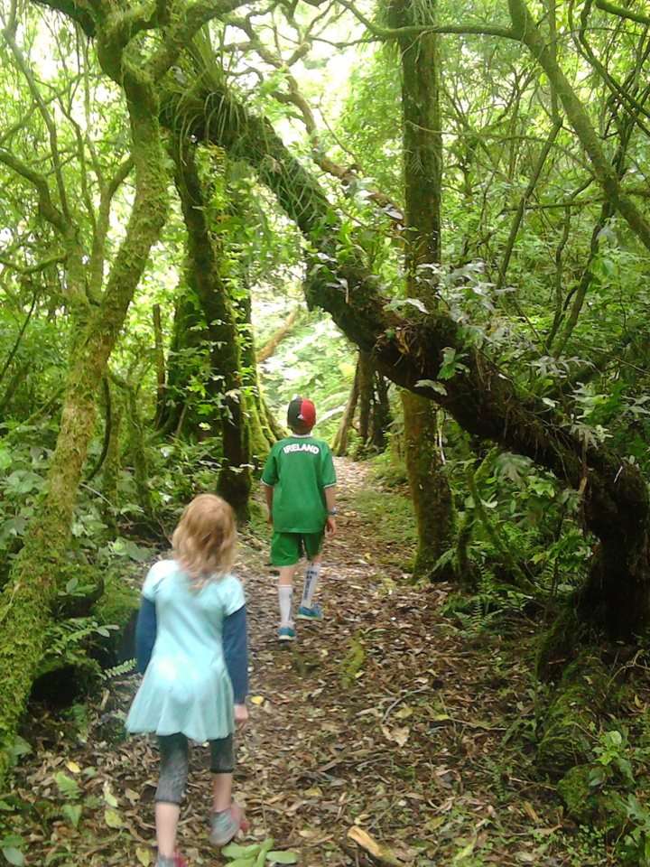 Clifton Road Reserve Freedom Camping, Hawkes Bay, NZ 46 travel