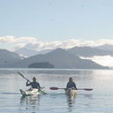 Another stunning kayaking day in the Marlborough Sounds!
