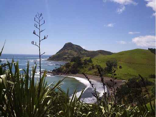 Coromandel Coastal Walkway