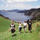 Coromandel Harbour