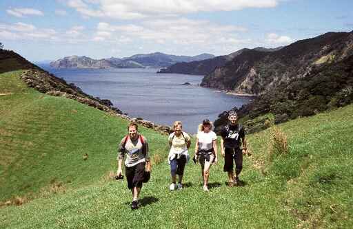 Coromandel Harbour