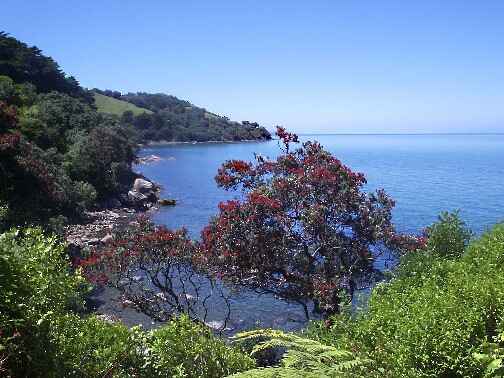 Seafood galore in Coromandel