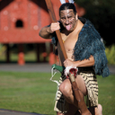 Maori Warrior