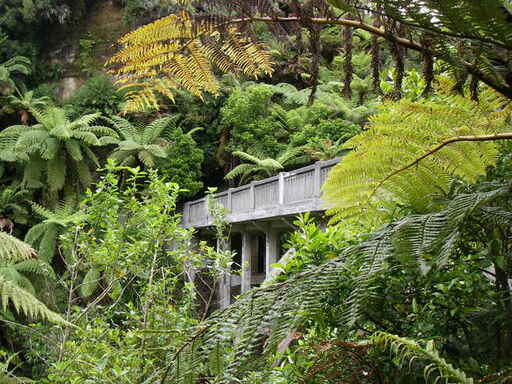 bridge to nowhere discovery