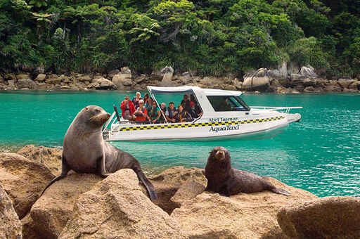 Closer to the wildlife