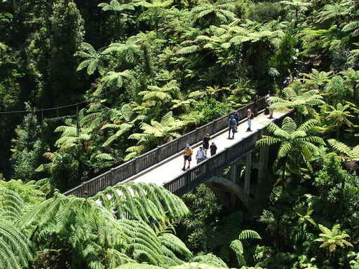 Over looking the iconic
Bridge to Nowhere