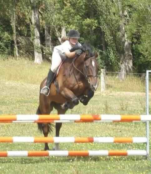 Lessons from basics to Dressage, Show Jumping & XC