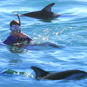 Swimming With Dolphins (Flipper)
