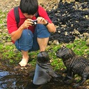 Playful seal pups in the rock pools