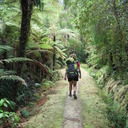 Walking the Heaphy Track