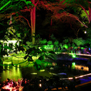 Lights at Night - Wellington botanic Gardens