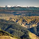 Mt Arthur in the far distance