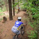 Primo riding in the Redwoods
