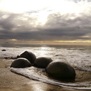 Moeraki Boulders at sunrise