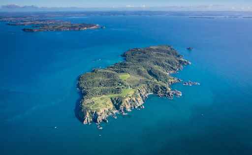 Tiritiri Matangi Island Ferry and Walk - Explore Group Auckland
