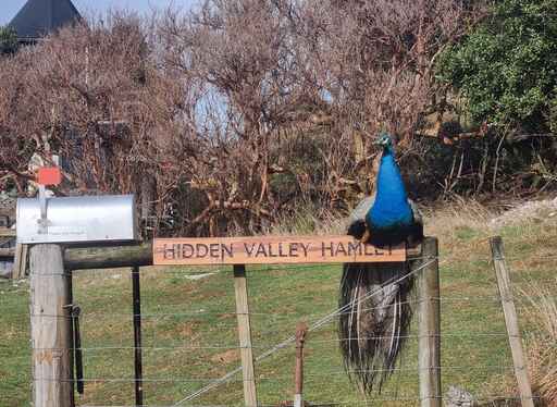 Hidden Valley Farm