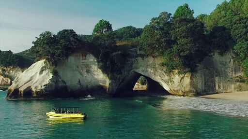 Ocean Leopard - Cathedral Cove Tours