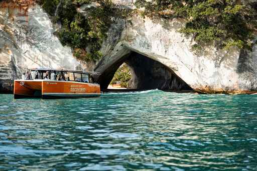 Mercury Bay Discoveries