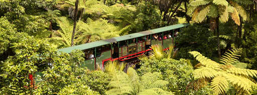 Driving Creek Railway & Potteries