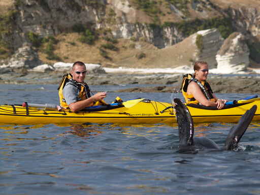 Kaikoura Kayaks