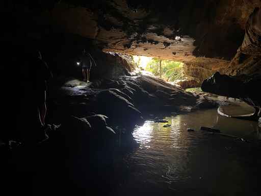 Waipu Caves