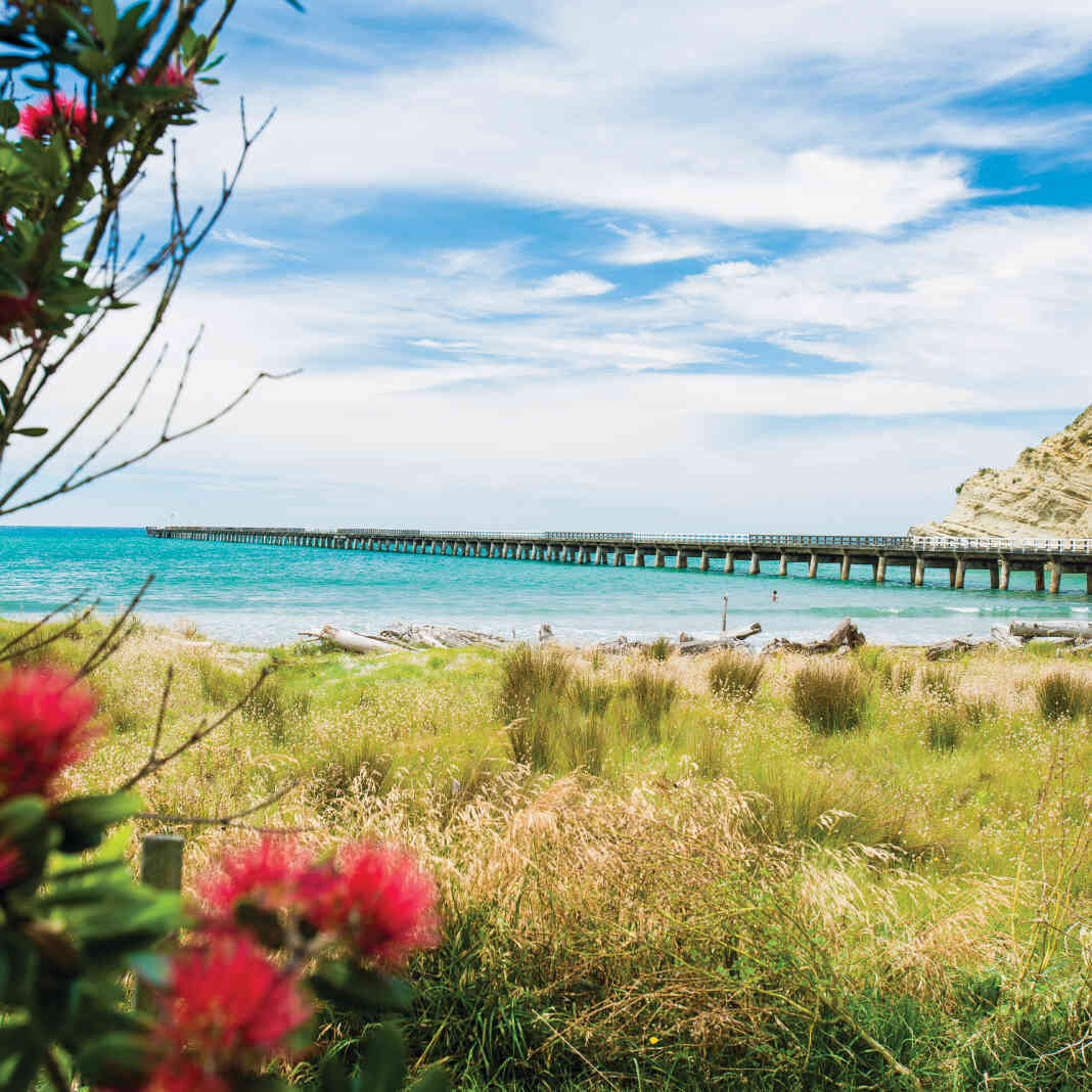 Tolaga Bay Holiday Park, Tairāwhiti Gisborne, NZ 17 travel reviews