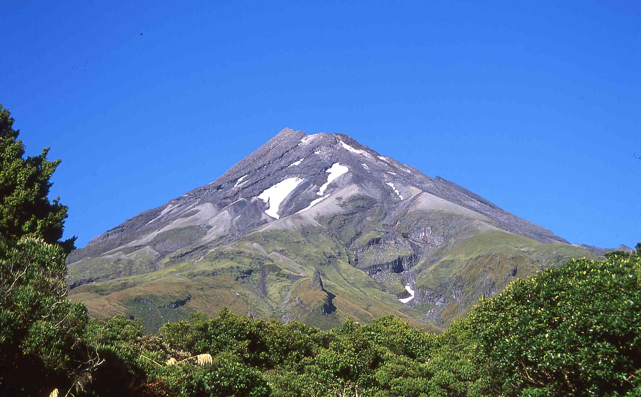 Nature Walk North Egmont , Egmont National Park, Taranaki, NZ 1