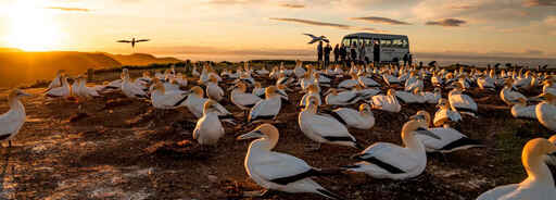 Gannet Safaris Overland Ltd