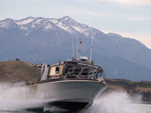 Kaikoura Fishing Tours