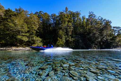 Dart River Jet Safaris - Wilderness Safari