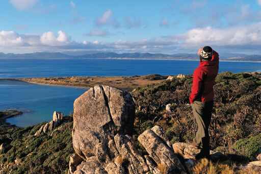 Kiwi Wilderness Walks