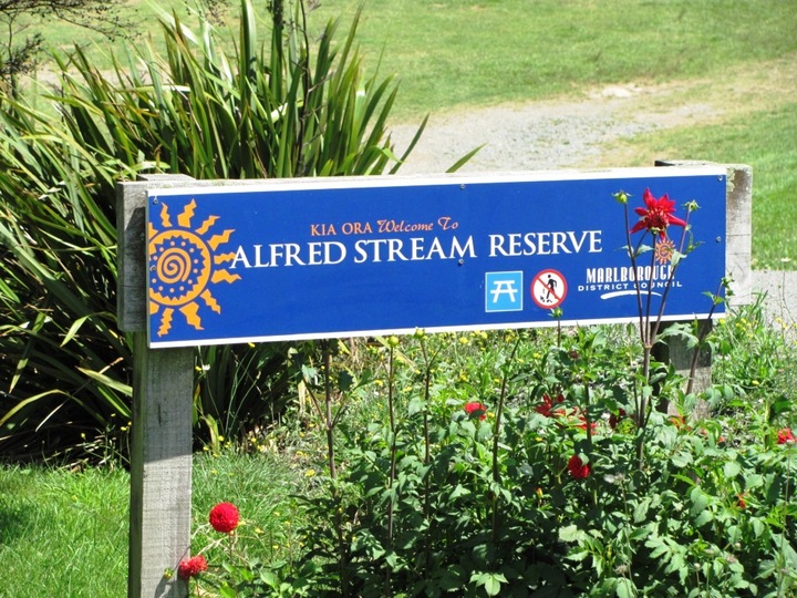 Alfred Stream Reserve