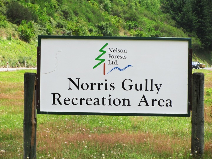 Norris Gully