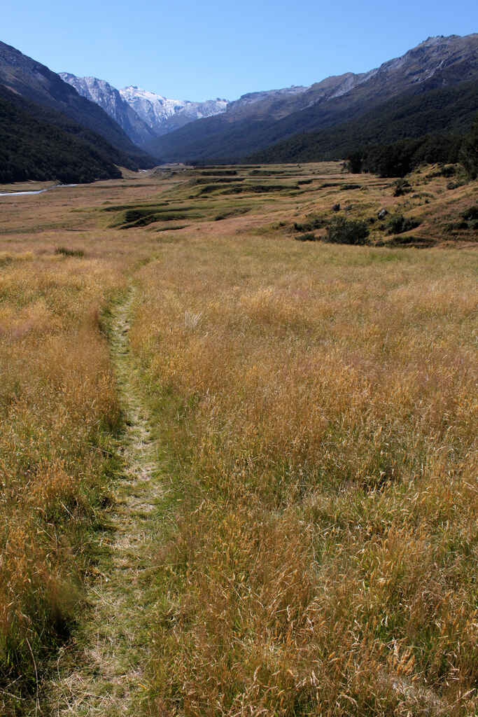 ReesDart Track Mount / Mt Aspiring National Park, Queenstown Region